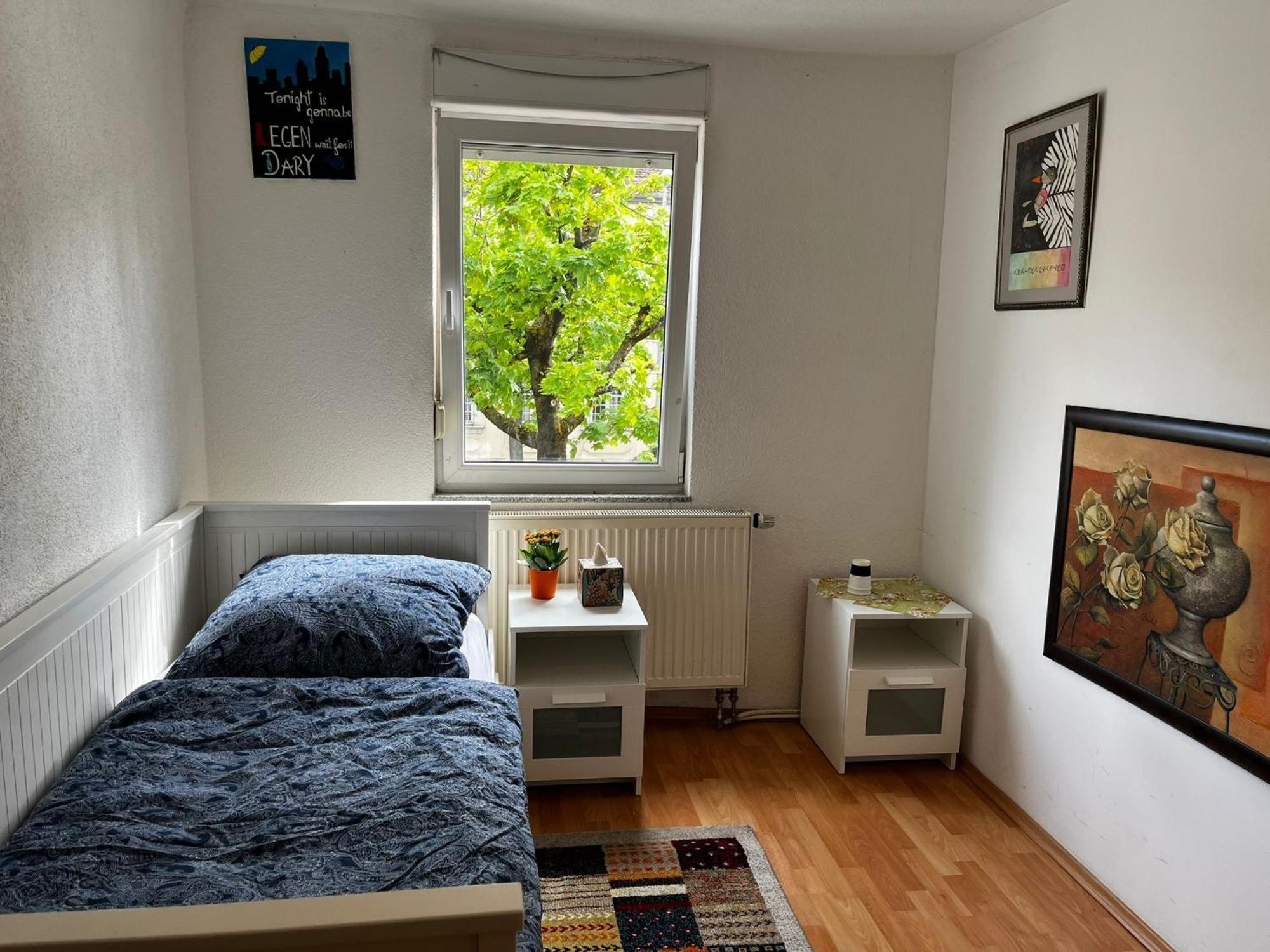 Solo Am Residenzschloss Ludwigsburg Dış mekan fotoğraf